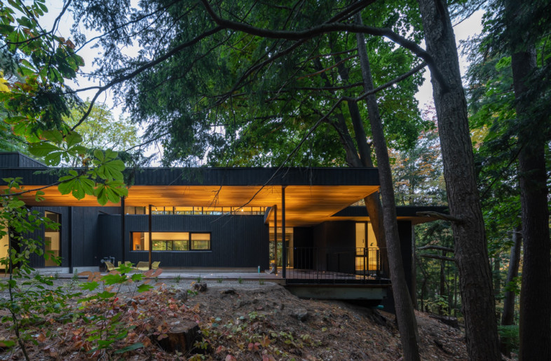 Front Elevation - Scott Norsworthy