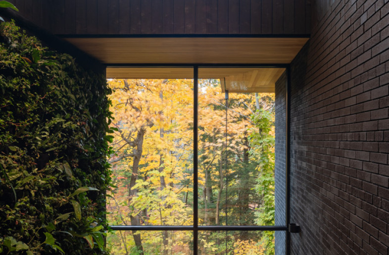 Main stair - Scott Norsworthy
