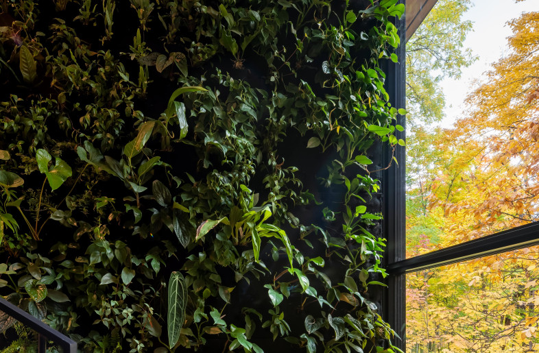 Green wall at stair landing - Scott Norsworthy