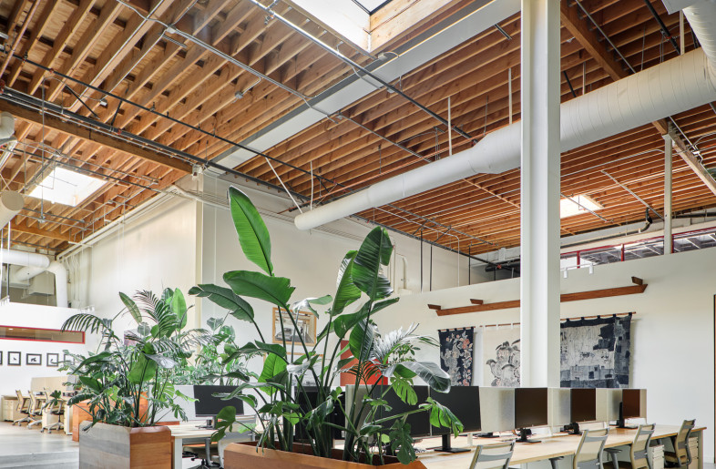 Open Plan Offices with Added Skylight - Erik Stackpole Undehn