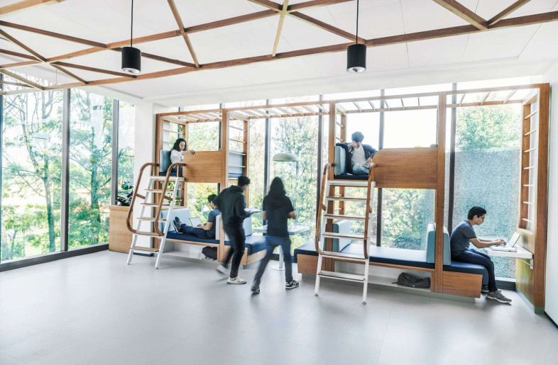 Humanitree School - Hive and Flight - Kim Wendt