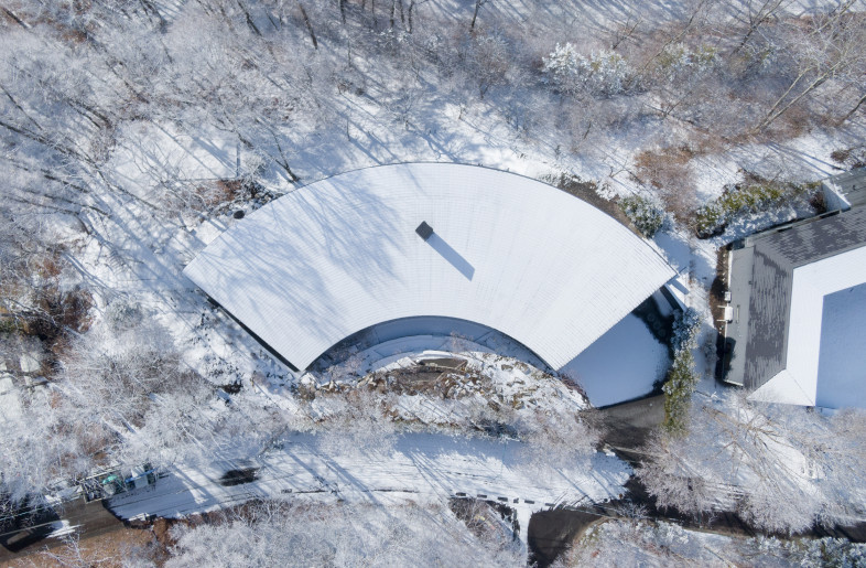 Bird's Eye in the Snow - Takumi Ota