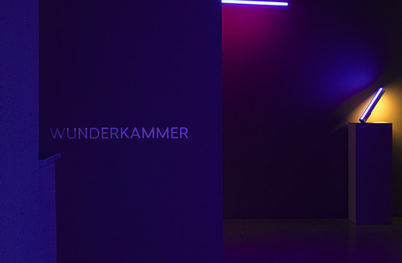 To further emphasize the integration of art and architecture within Visionnaire’s design and creative approach, the showroom’s Wunderkammer  is a  space dedicated to site specific installations. - Mattia Aquila