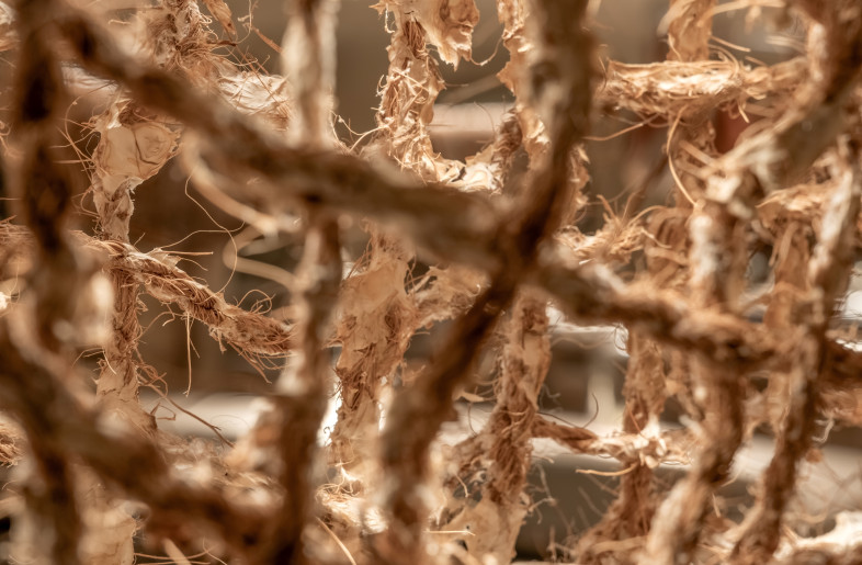 mycelium  biotextile - Andriy Bezuglov