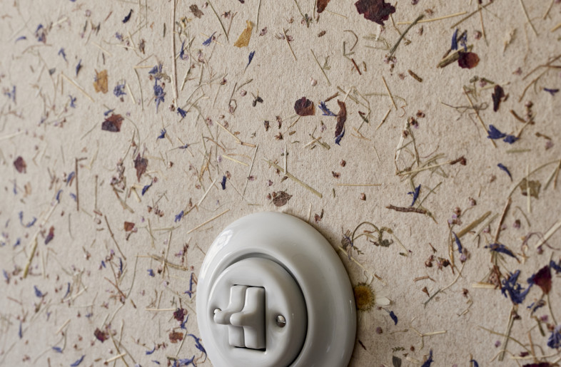 Detail of natural grass wallpaper and historical switch programme. - Elias Hassos