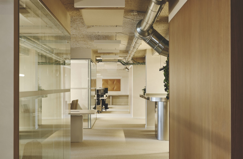 Spray insulation on the ceiling creates natural textures and functions as acoustic insulation. - David Zarzoso