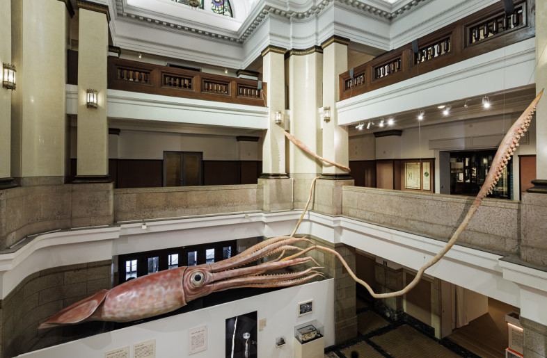 Main Hall, Japan Hall – By dynamically wrapping the giant squid’s tentacles around the structure, the entrance creates a powerful visual that immediately draws visitors into the exhibition space. - Akira Arai（Nacása & Partners Inc.）
