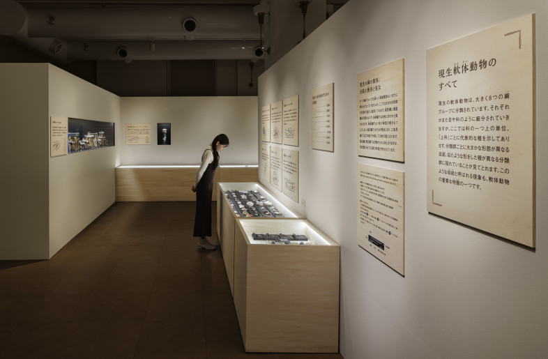 Special Exhibition Room - Akira Arai (Nacása & Partners Inc.)