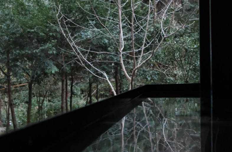 The pools reflect views of the surrounding forest. - Aptdotapt