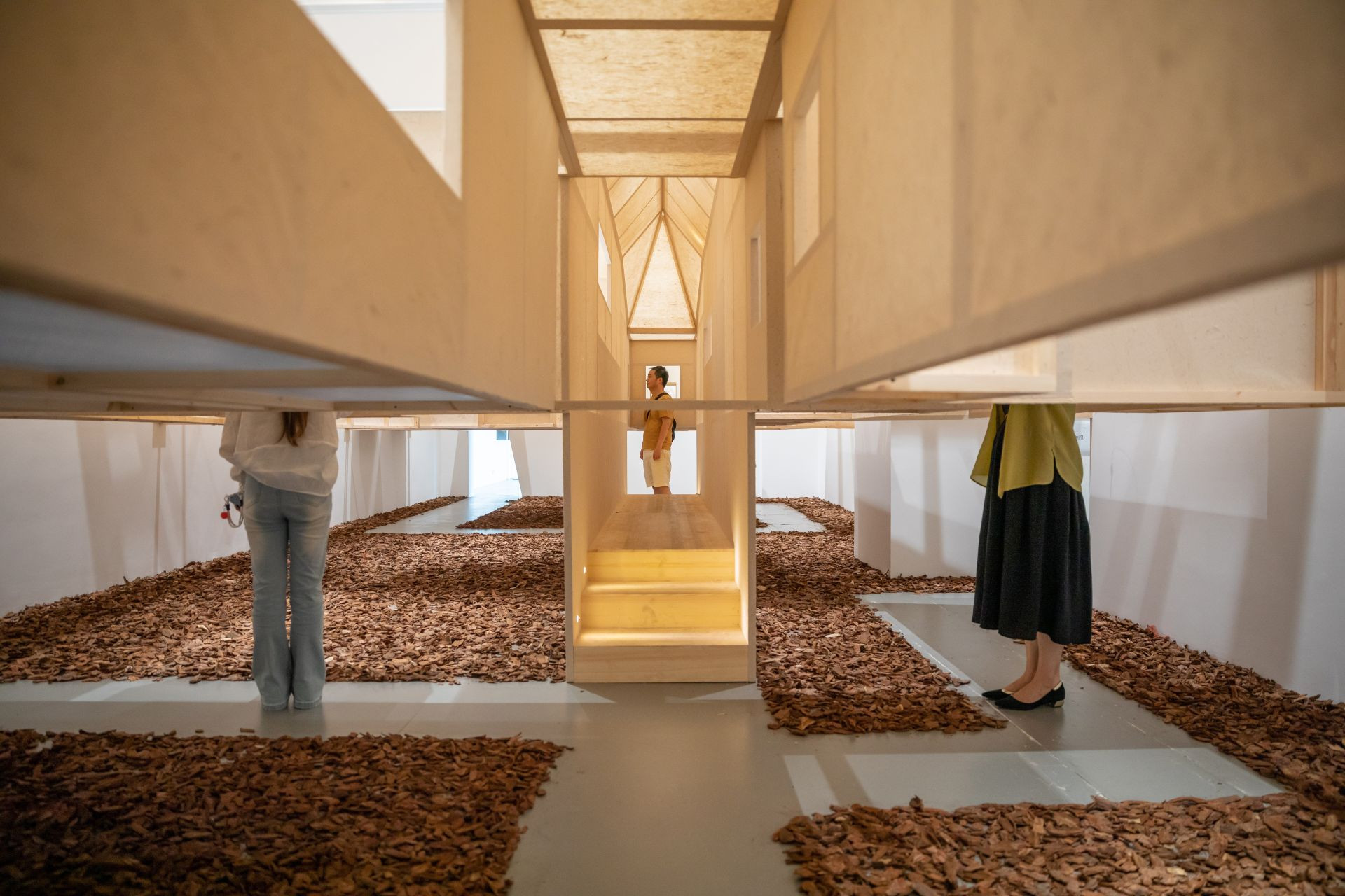 Frameweb | What if disorientation is the design? C+D Studio