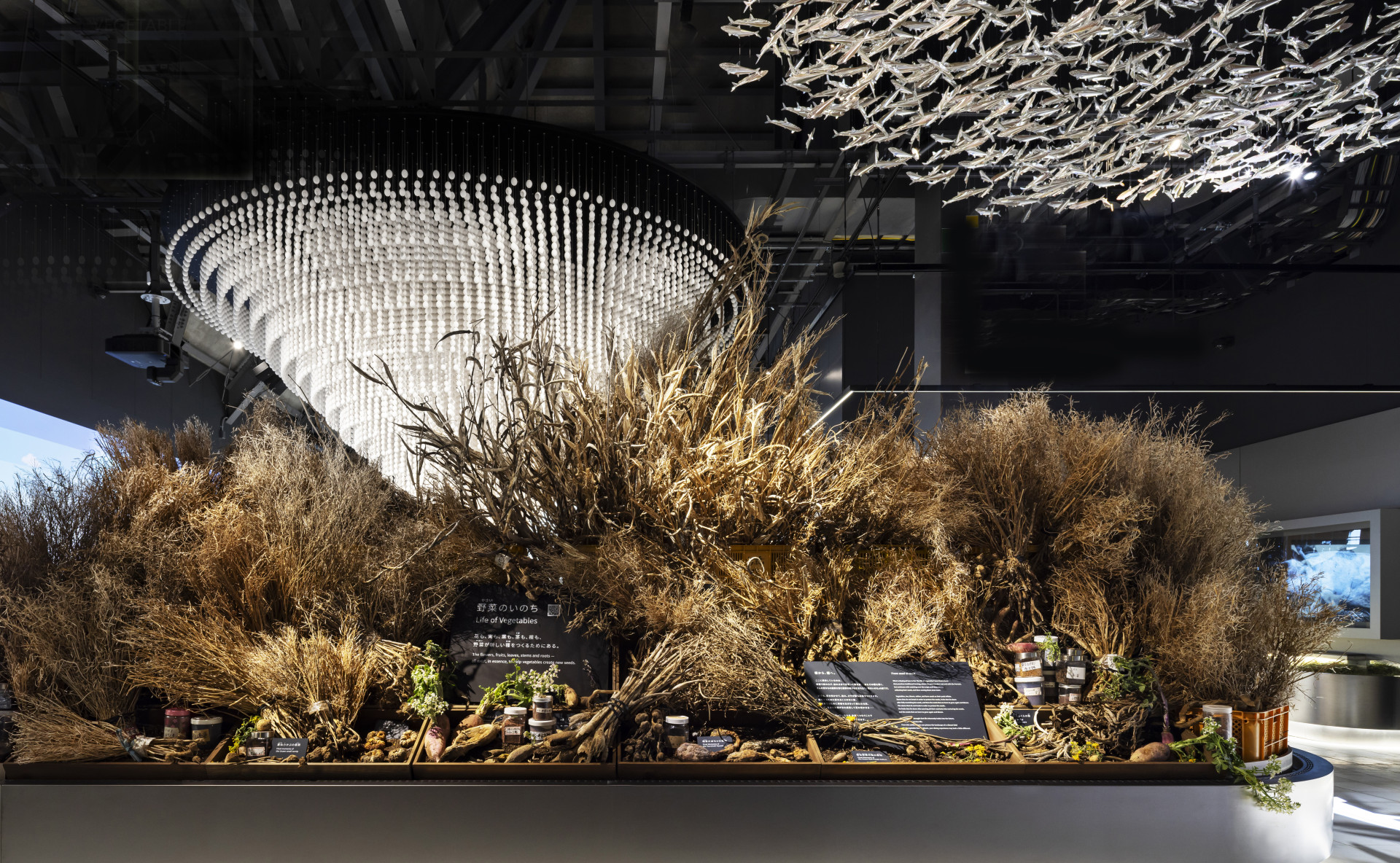 Frameweb | Signature Pavilion Earth Mart at Expo 2025 Osaka
