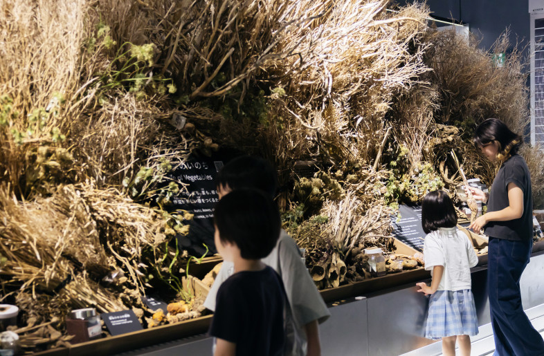 Frameweb | Signature Pavilion Earth Mart at Expo 2025 Osaka