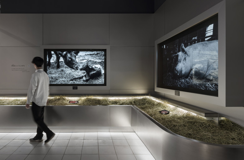 Worldwide Parents ステージ4,5 セット Frameweb | Signature Pavilion Earth Mart at Expo 2025 Osaka