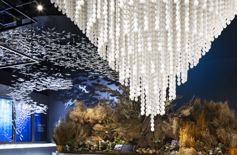 Frameweb | Signature Pavilion Earth Mart at Expo 2025 Osaka