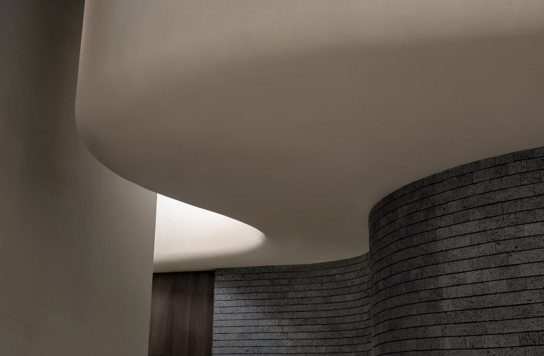8.curve ceiling - Fan Junjian ,Zhou Xuanzhuo