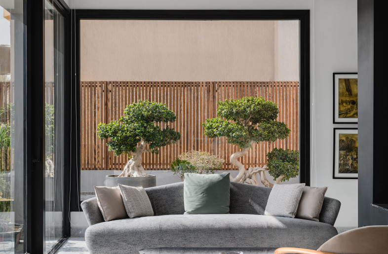 Large and bright windows for a lush bonsai backdrop. - Nour El Refai (Photography)