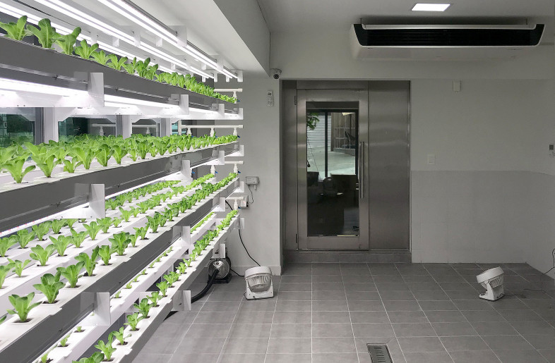 Cultivation room