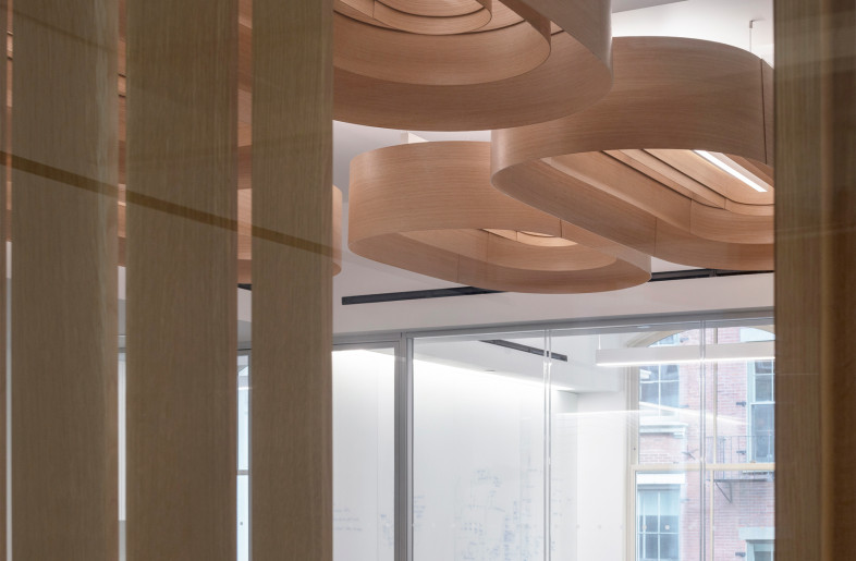 At the epicenter of each concentric ripple is a view porthole that brings more light through and also provides a moment of focused view between the public and private spaces. - Paul Warchol