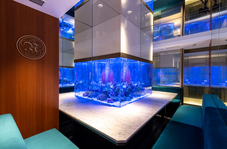 The VIP cabin - Stirling Elmendorf