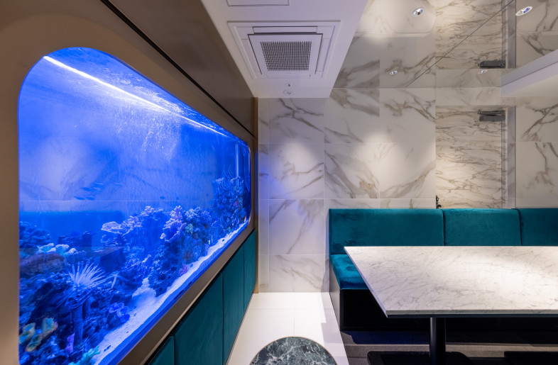 The VIP cabin - Stirling Elmendorf