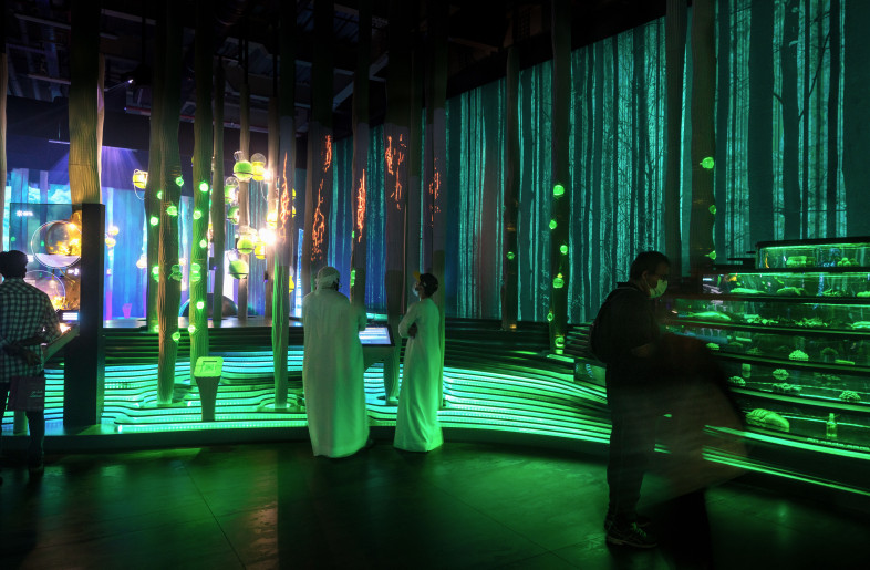 Forest of Intelligence Exhibition - Adrià Goula