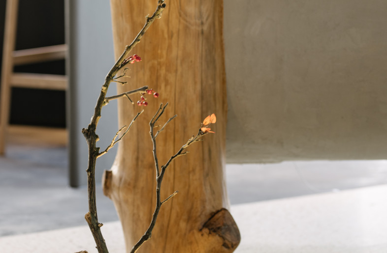 Decoration - Pan Tang