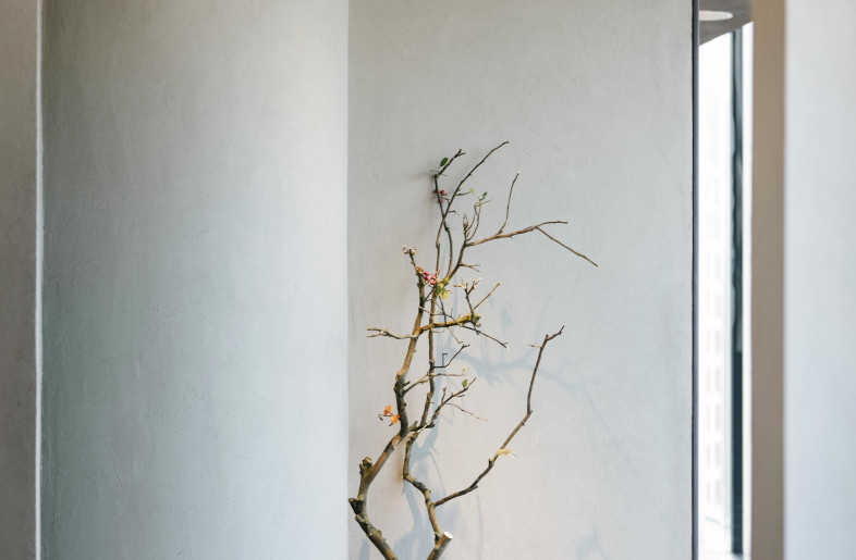 Decoration - Pan Tang