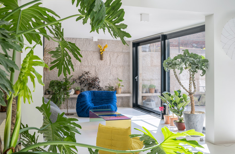 Living room in basement - Studio FF