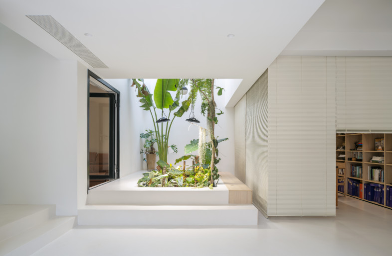 lanscape in basement - Studio FF