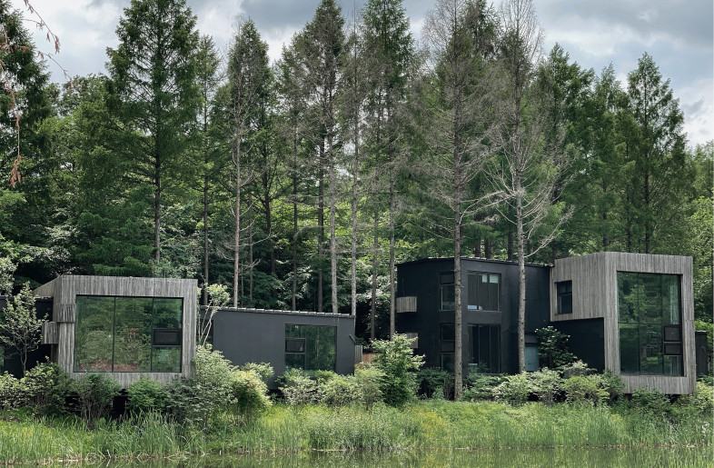 height scattered buildings in the forest - Poly Design Stodio