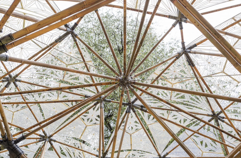 Detail view of the Digital Bamboo. - Andrei Jipa