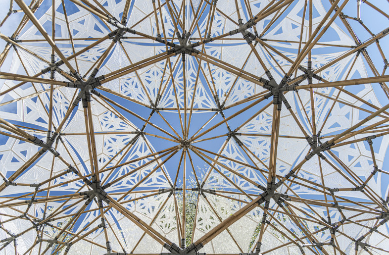 View from below. - Marirena Kladeftira