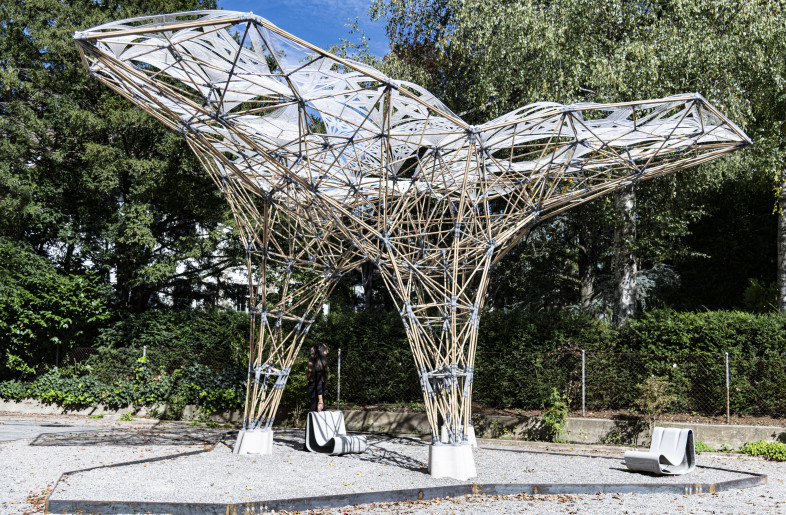 Temporary installation of Digital Bamboo at the ZAZ Bellerive Museum. - Matthias Leschok