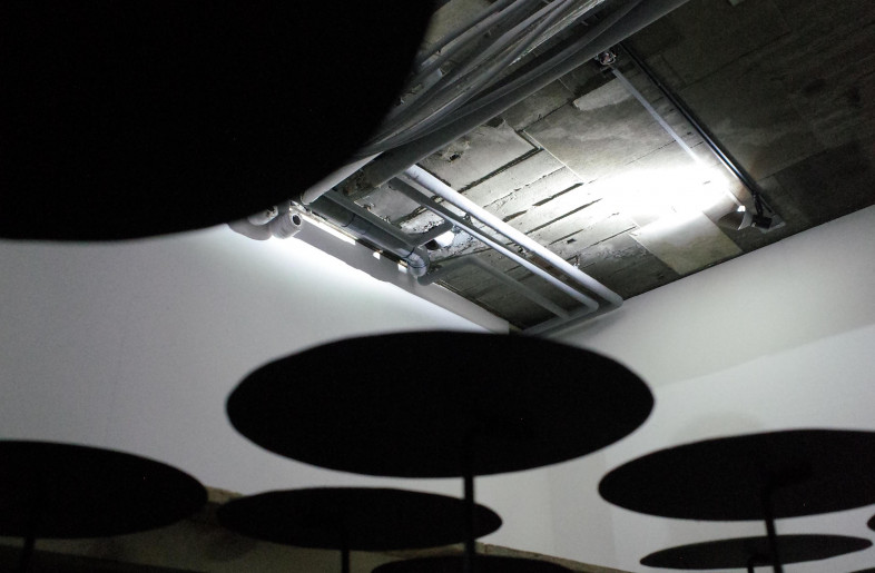 Mirror Water Lily fluctuates and reflects minimal light, creating a unique underground garden - Ryo Yamada