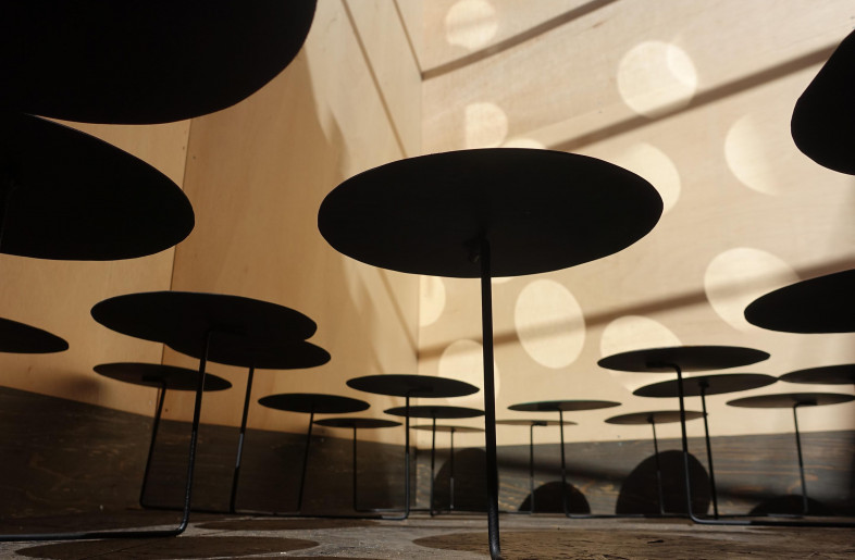 450 Mirror Water Lily in underground Cellar space of about 120 m2 - Ryo Yamada