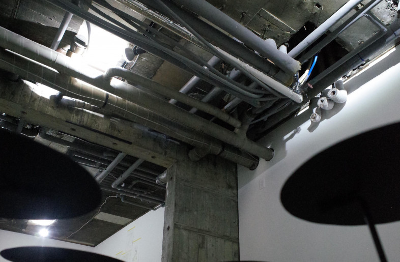 The Mirror Water Lily makes the ceiling pipes look like the buildings organs - Ryo Yamada