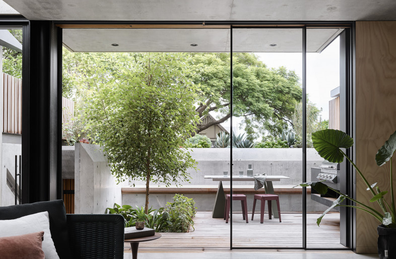 View to rear courtyard and Birch Tree - Anson Smart