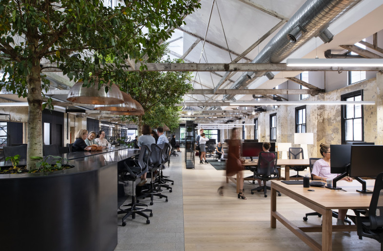 At The Hayesbery, the distance between workstations is considerably greater with a ratio of one person to 16 square metres - Nicole England