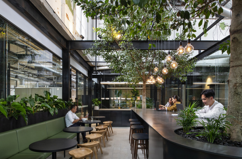 Approximately 3,000 square metres in total, these spaces are filled with light, plants and importantly, cross ventilation - Nicole England