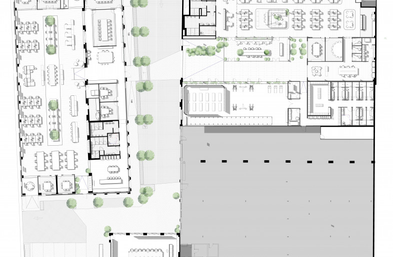 The Hayesbery floorplan - Woods Bagot
