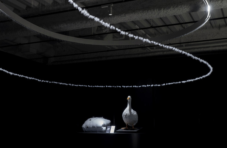The route made of down material is a route that goes back to the origins of down material. - Daisuke Ohki