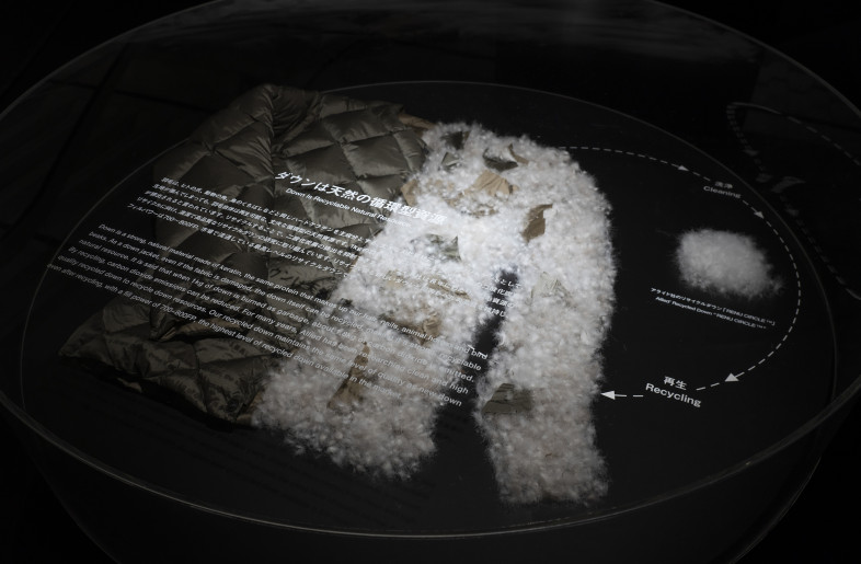 Various information about down materials：About recycling of down materials. - Daisuke Ohki