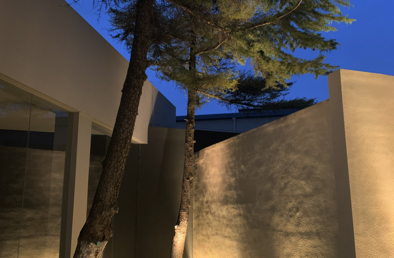 PRIVATE GARDEN - WANG JUN