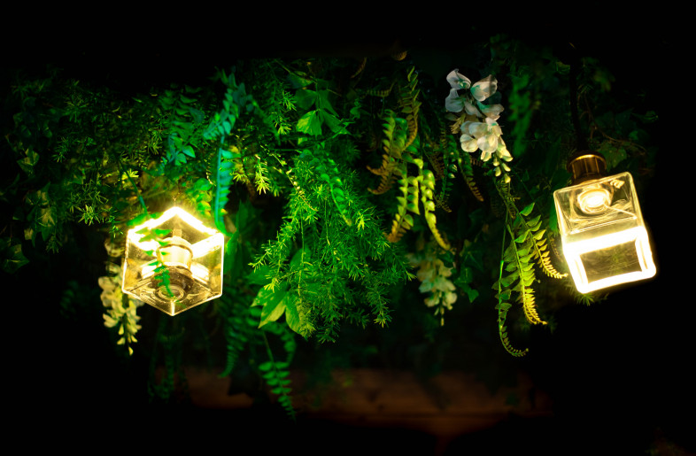 Green Roof with lights - neodigital