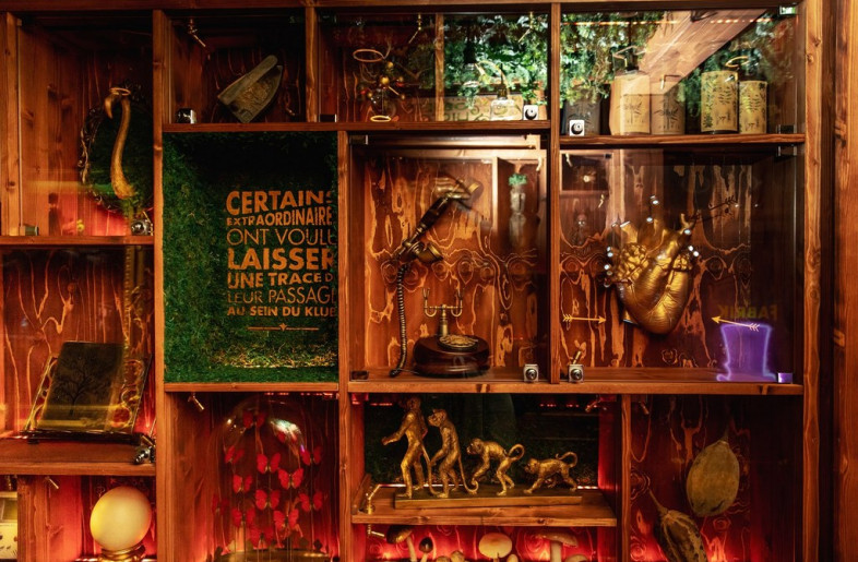Cabinet des curiosités in the Klub Extraordinaire - neodigital