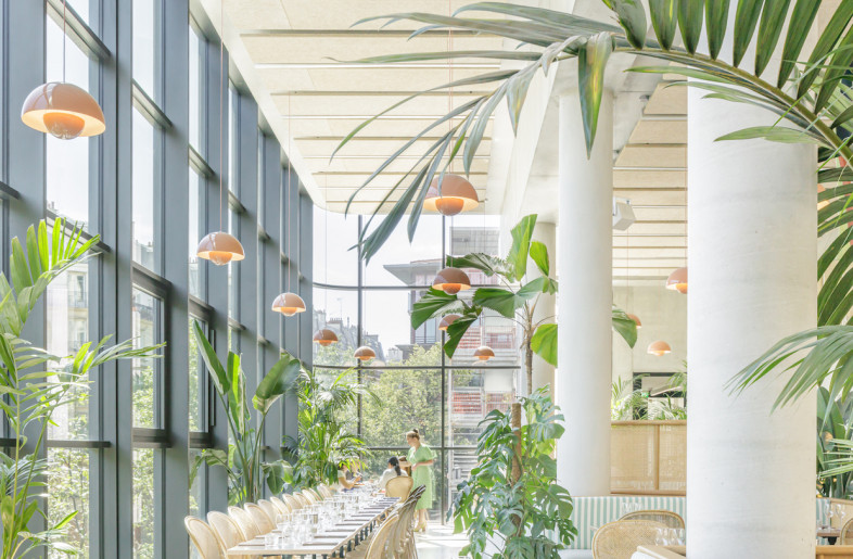 Plantings fill the restaurant with green. - Rodrigo Apolaya