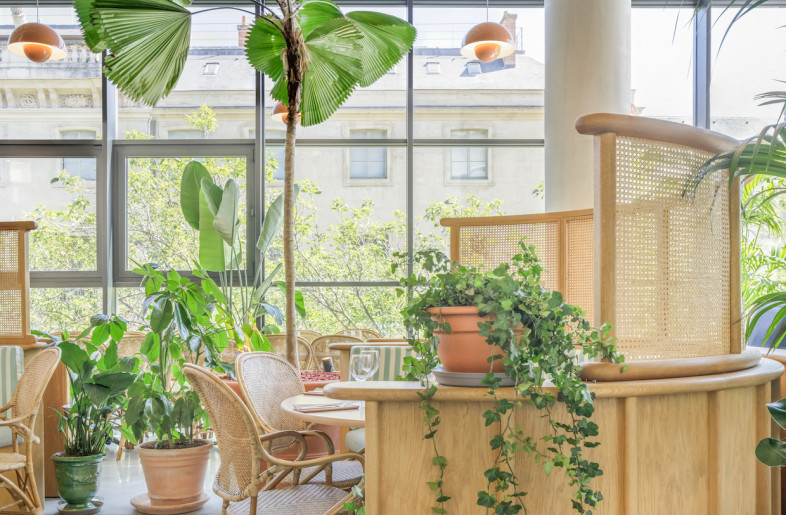 Bentwood seating and rattan details provide a warm vibe. - Rodrigo Apolaya