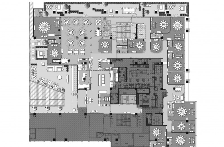 Daxiang Design