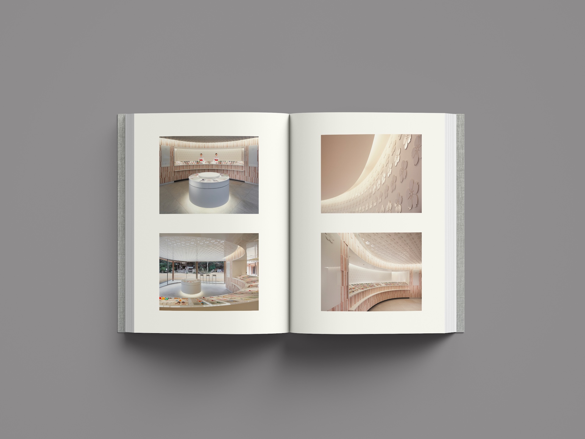 Frameweb | The new Wonderwall monograph asks what physical space